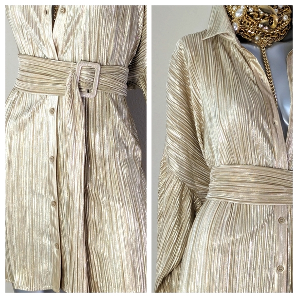 Golden Champagne Shimmery Accordion Pleated Belted Earth Girl "BOHO" Shirt Dress - Picture 6 of 12